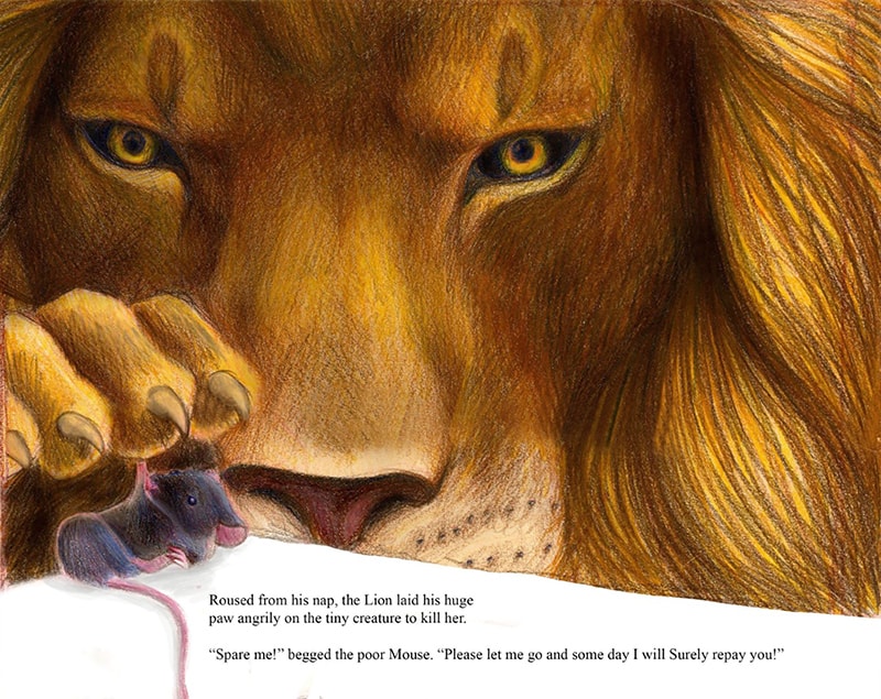 Illustration and Animation