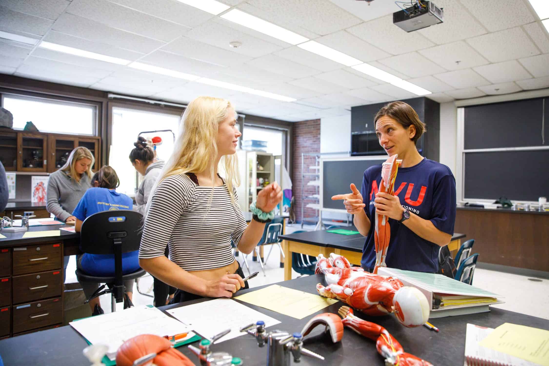 Professor holds a model of a muscles and discusses with a student.