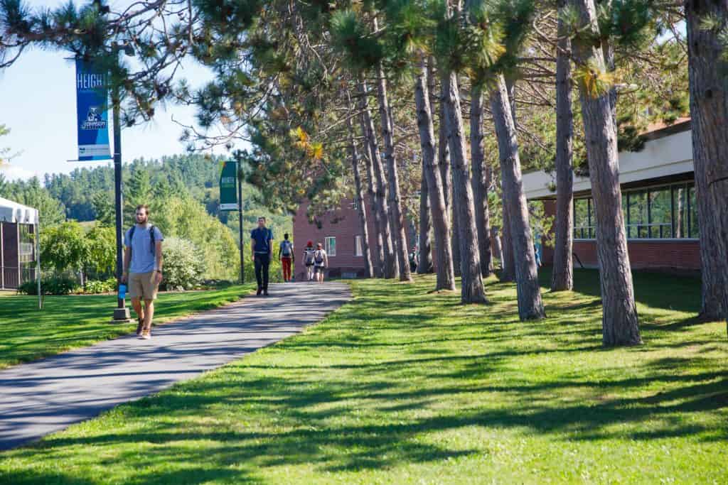 Students walk outside past a line of trees on campus