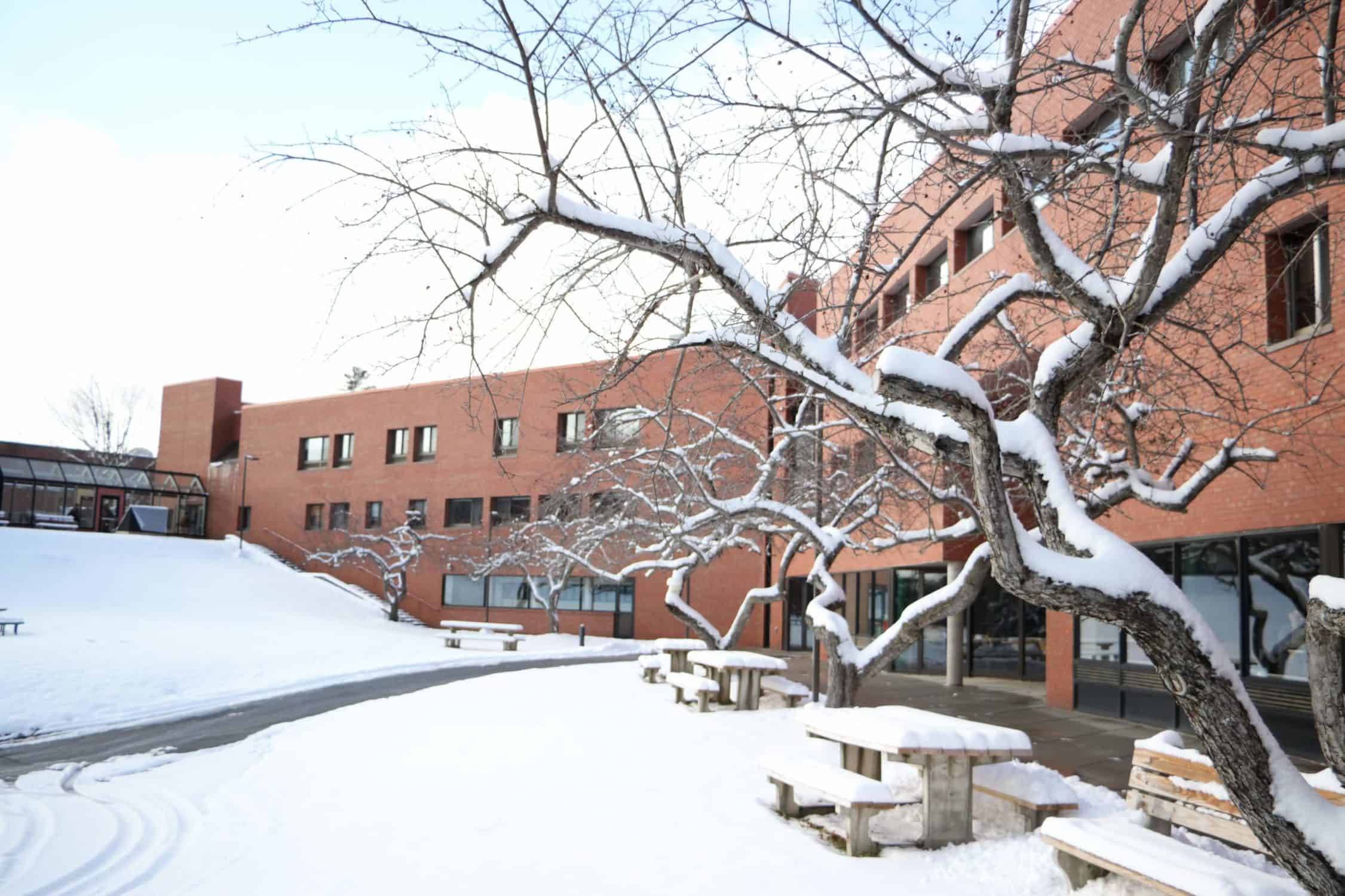 Trees on campus have their branches blanketed in snow