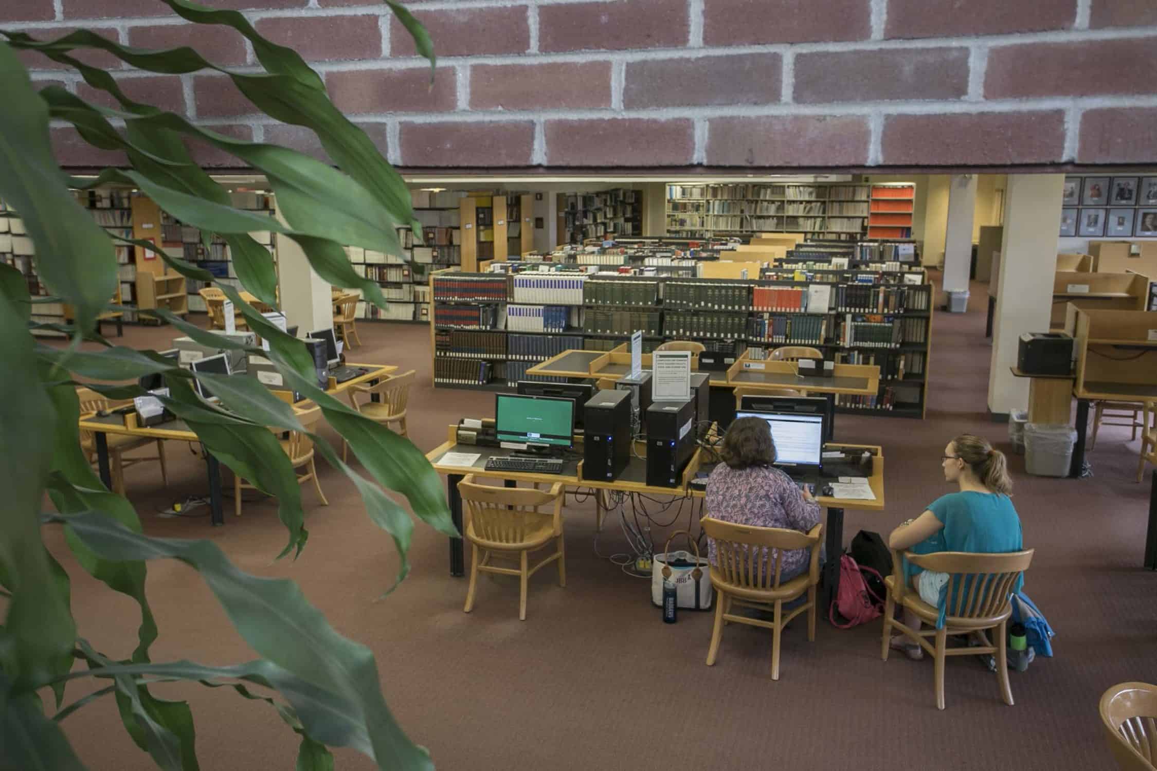 Students work at computer in library